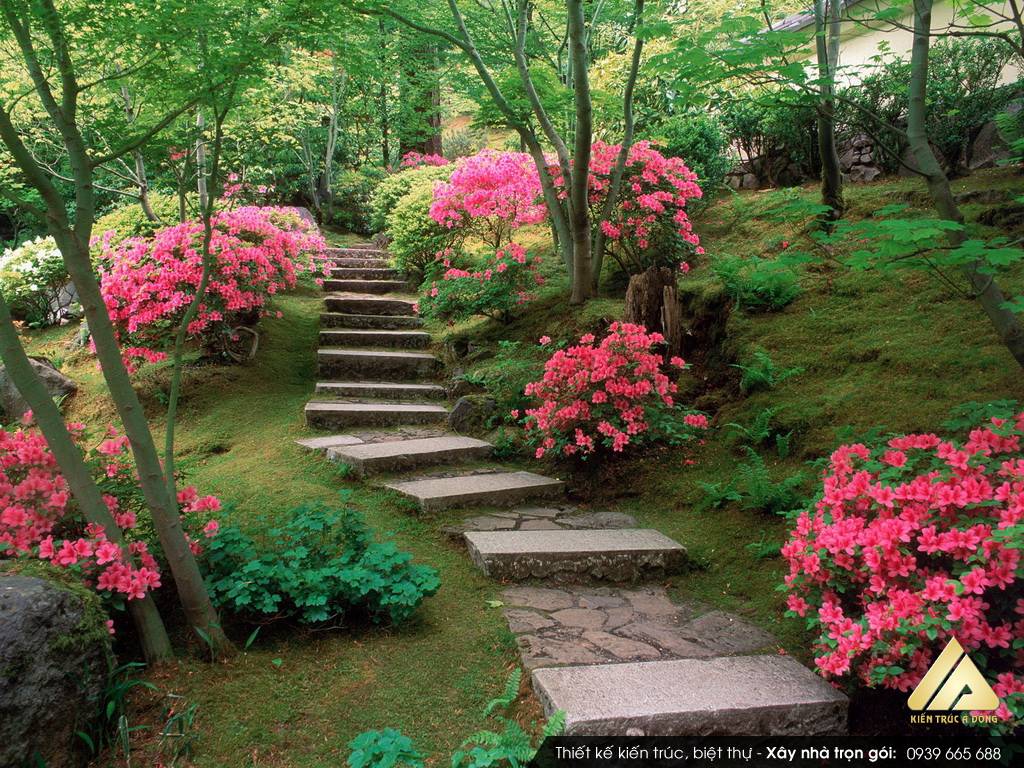 Mẫu thiết kế sân vườn đẹp biệt thự đẹp trên núi